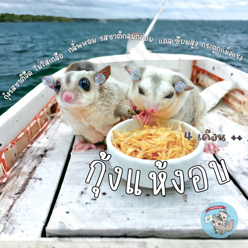 5 เหตุผลที่คุณควรเลือกซื้อ "กุ้งอบแห้ง SHRIMP จืด ไม่เค็ม เหมือนกุ้งแห้งสีส้ม ขนม อาหาร แมลงอบแห้ง สัตว์เล็ก สัตว์เลี้ยง ชูการ์ กระรอก แฮมสเตอร์" (อัปเดท 2025)