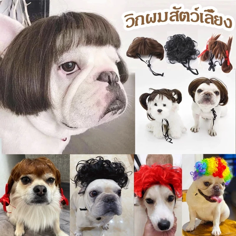 5 เหตุผลที่คุณควรเลือกซื้อวิกผมสัตว์เลี้ยง – เปลี่ยนลุคเพื่อนซี้ของคุณให้ดูมีสไตล์และน่ารักสุด ๆ (อัปเดท 2025)