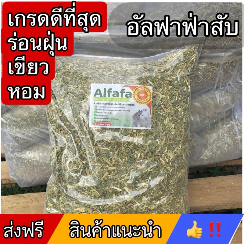 5 เหตุผลที่คุณควรเลือกซื้ออัลฟาฟ่าสับ ร่อนฝุ่นพิเศษ (อัปเดท 2025)