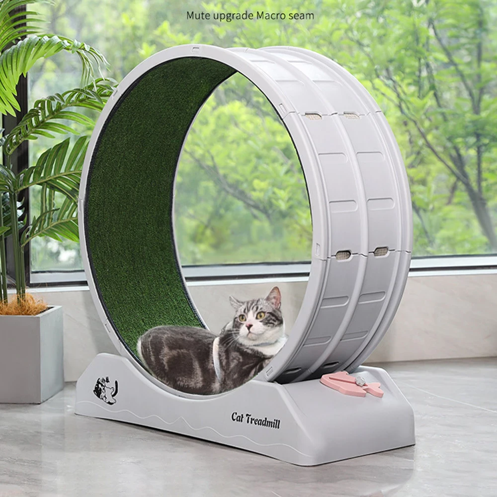 5 เหตุผล ที่คุณควรมีลู่วิ่งสำหรับแมวของคุณ - 2025 (อัปเดท 2025)