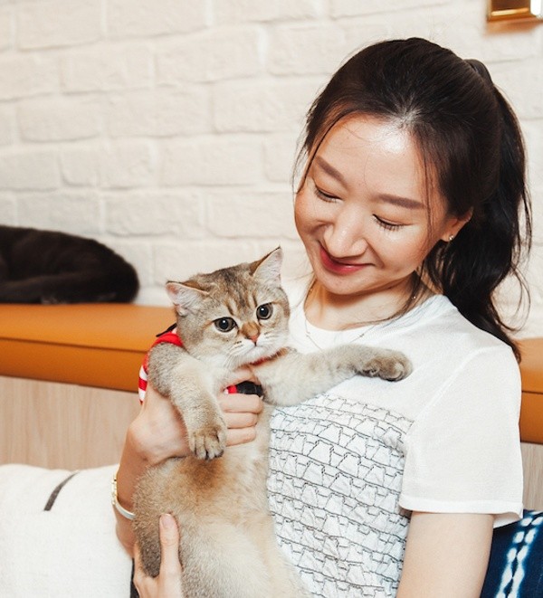 รู้ 5 เรื่องสำคัญ ก่อนรับแมวใหม่เข้าบ้าน อยู่ร่วมกันอย่างแฮปปี้ตั้งแต่วันแรก (อัปเดท 2025)